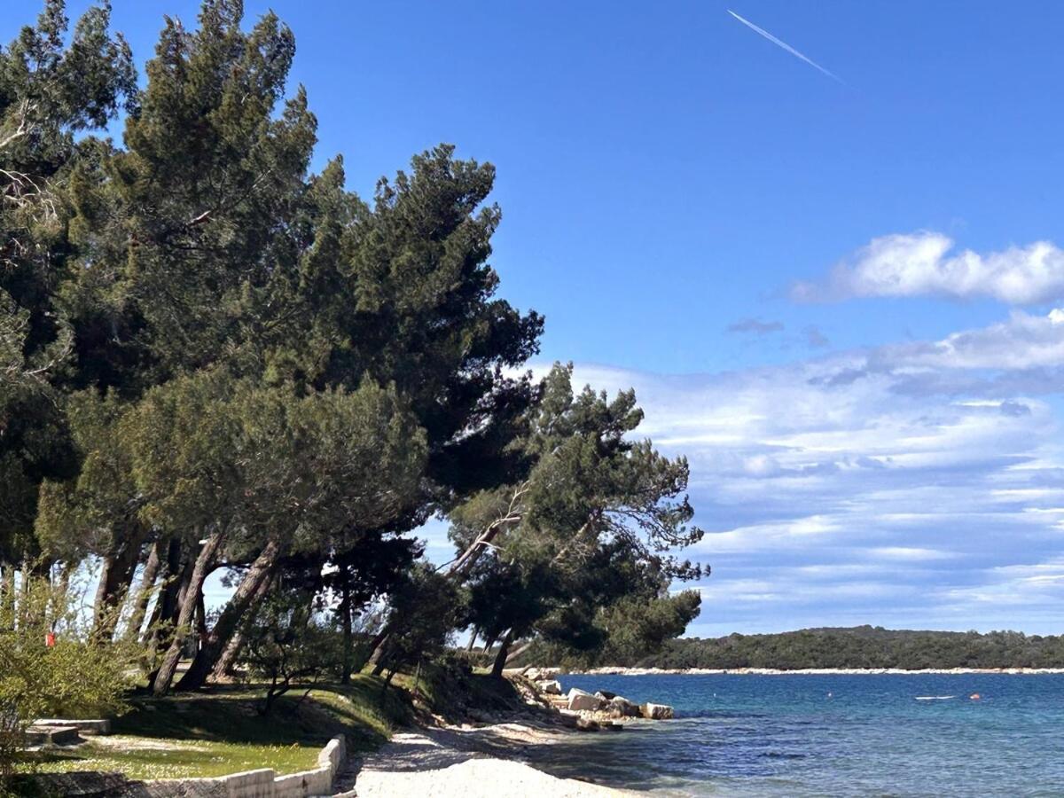 Eleonora Mare